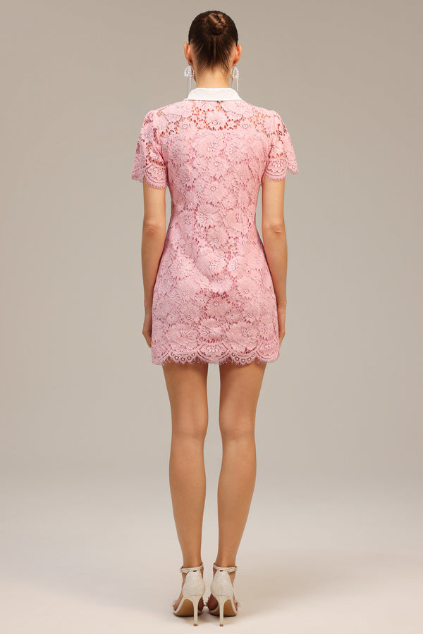 Sophie's Yaka Dantelli Mini Elbise