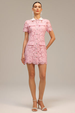 Sophie's Yaka Dantelli Mini Elbise