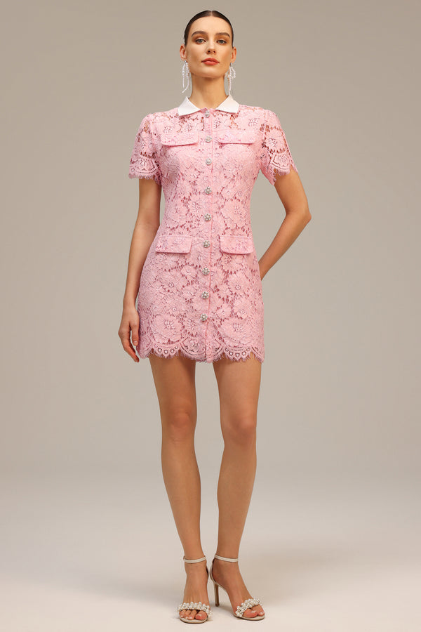 Sophie's Yaka Dantelli Mini Elbise