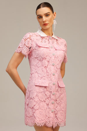 Sophie's Yaka Dantelli Mini Elbise