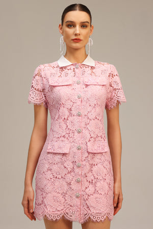 Sophie's Yaka Dantelli Mini Elbise