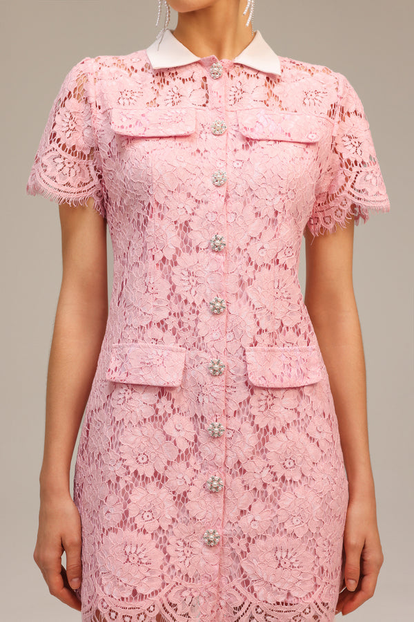 Sophie's Yaka Dantelli Mini Elbise