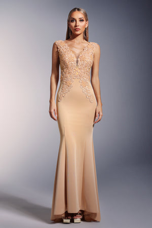 Tia Dantelli Derin V Yaka Kuyruklu Maksi Elbise