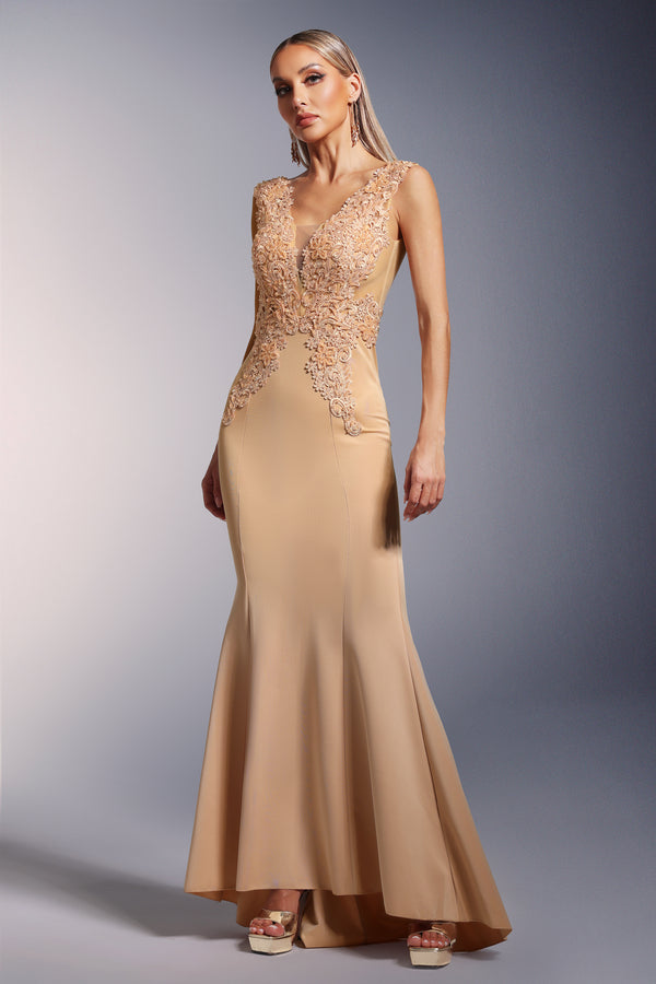 Tia Dantelli Derin V Yaka Kuyruklu Maksi Elbise