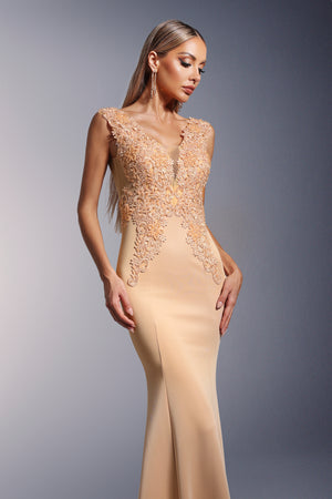 Tia Dantelli Derin V Yaka Kuyruklu Maksi Elbise